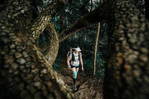 BIB: 
                            <button type="button" onclick="openModal(25675005)" class="btn btn-primary btn-sm float-right btn-popup" data-toggle="modal" data-target=".modal-high-quality">
                        <i class="fas fa-shopping-cart"></i> Add to Cart
                    </button>
                                            <button type="button" onclick="isThisMe(25675005, true)" class="btn btn-success btn-sm float-right btn-popup btn-isme hidden" data-toggle="tooltip" data-placement="bottom" title="นี่คือรูปของคุณใช่ไหม คลิกที่นี่เพื่อเอาเข้าอัลบั้ม">
                        <i class="fas fa-plus"></i> Add to album
                    </button>
                    <button type="button" onclick="isThisMe(25675005, false)" class="btn btn-warning btn-sm float-right btn-popup btn-isnotme hidden">
                        <i class="fas fa-ban"></i> Remove from album
                    </button>